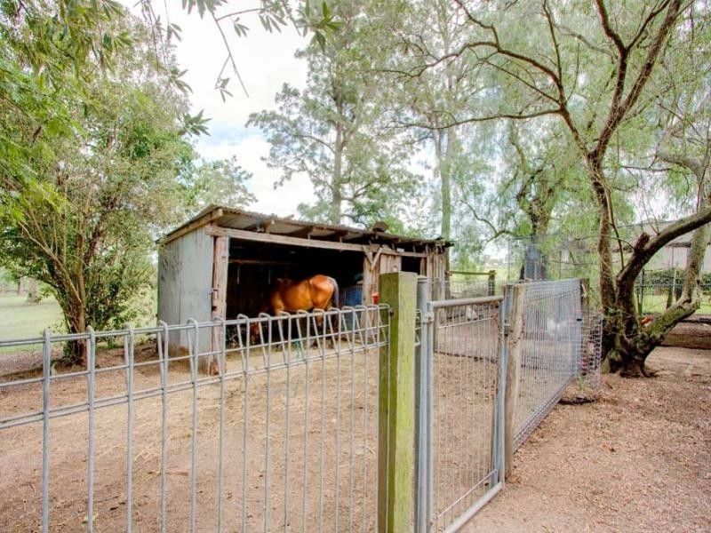 91 Clarence Street, Wallalong NSW 2320