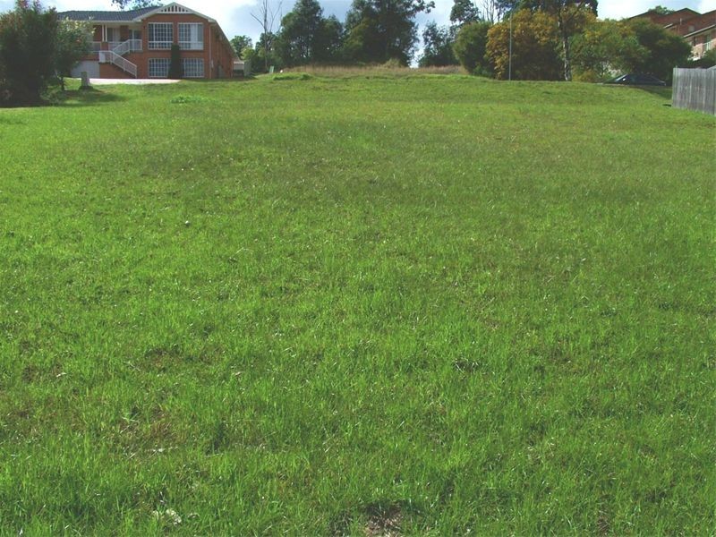 9 Elliott Close, Raymond Terrace NSW 2324