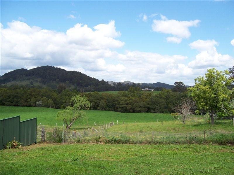 45 Parkside Close, Stroud Road NSW 2415