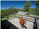1215 Dungog Road, Dungog NSW 2420