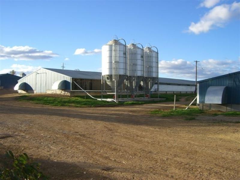 Wallamore NSW 2340
