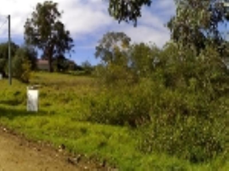 27 Count Street, Paterson NSW 2421