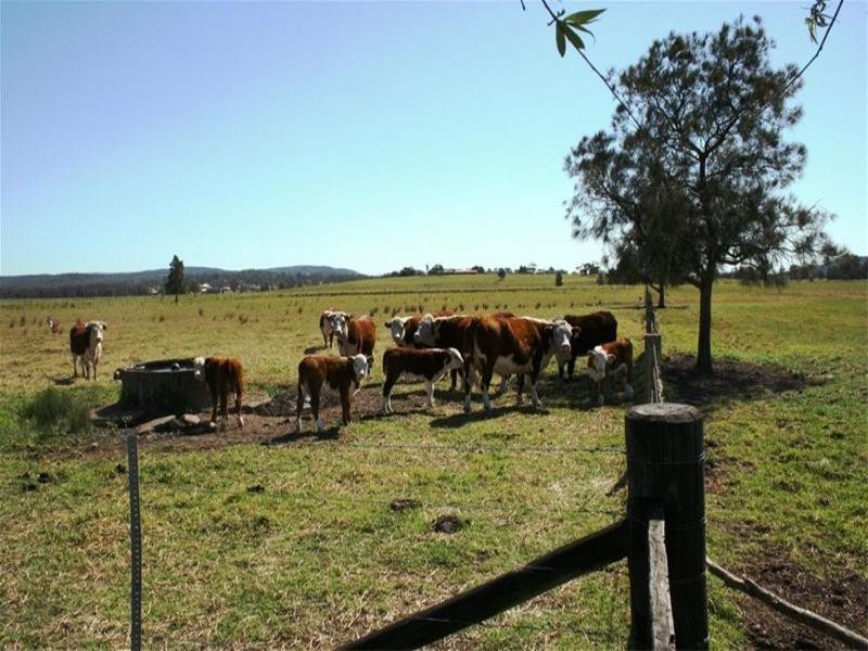 794 Seaham Road, Seaham NSW 2324