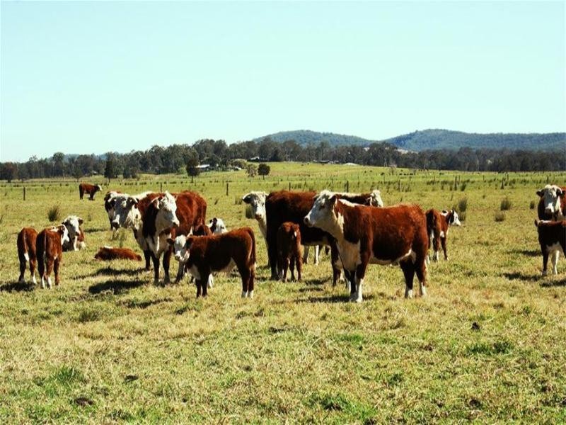 794 Seaham Road, Seaham NSW 2324