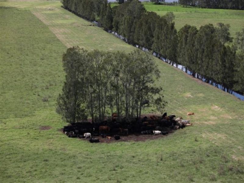 794 Seaham Road, Seaham NSW 2324