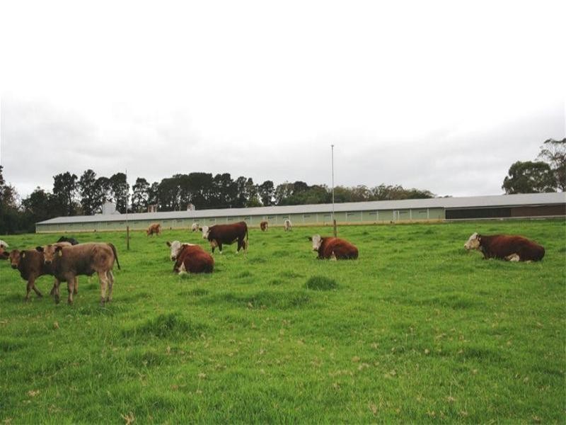 Peats Ridge NSW 2250