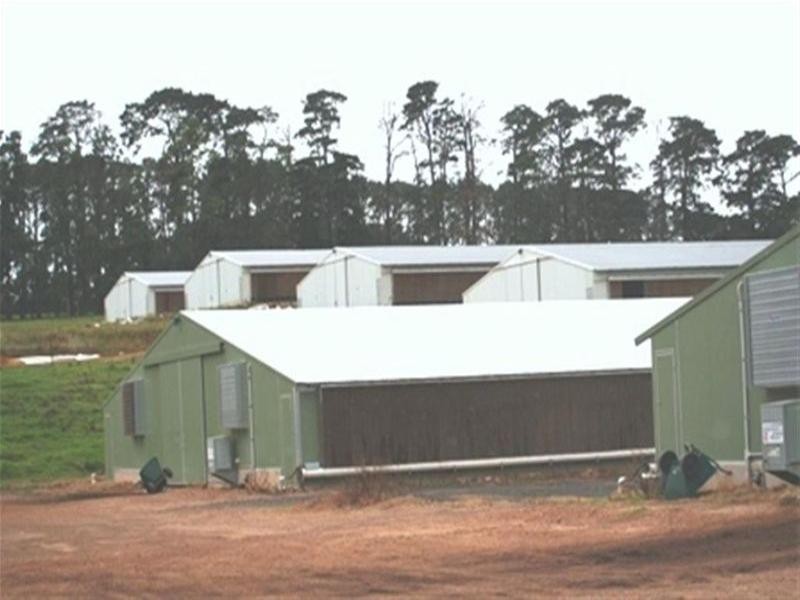 Peats Ridge NSW 2250