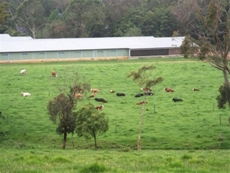 Peats Ridge NSW 2250