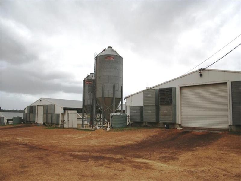 Peats Ridge NSW 2250