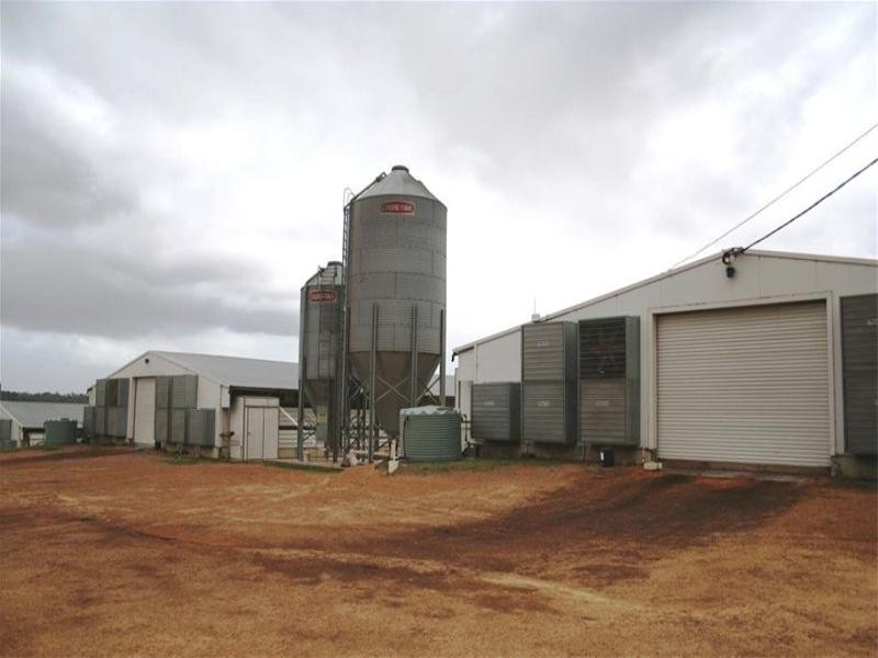 Peats Ridge NSW 2250