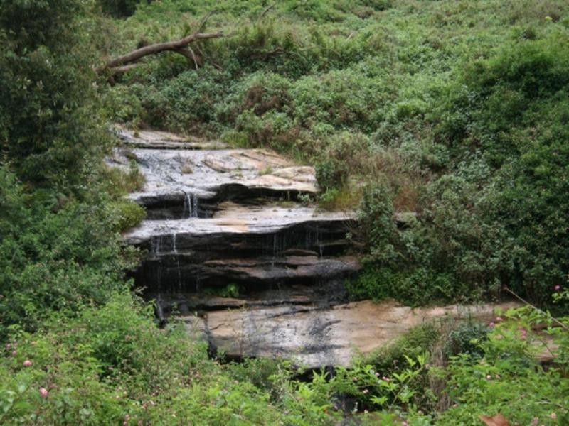 117 Kilkenny Road, Somersby NSW 2250