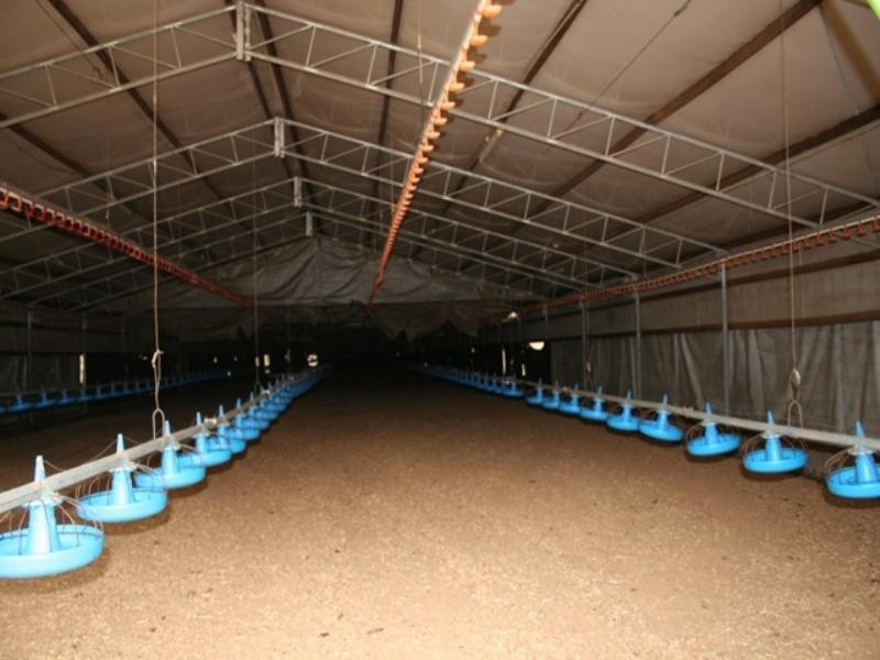 117 Kilkenny Road, Somersby NSW 2250