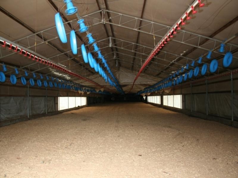 117 Kilkenny Road, Somersby NSW 2250