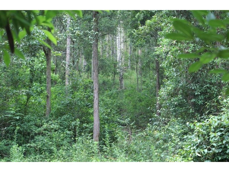 Wards River NSW 2422