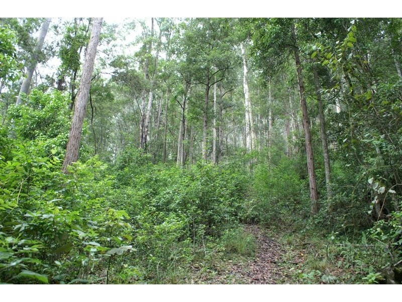 Wards River NSW 2422