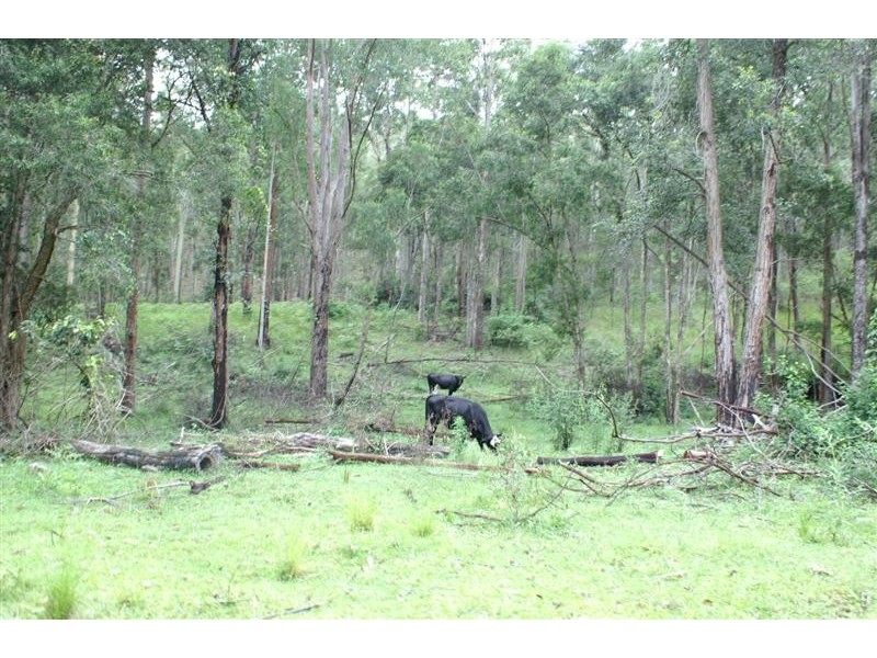 Wards River NSW 2422