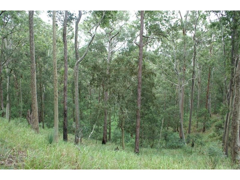 Wards River NSW 2422