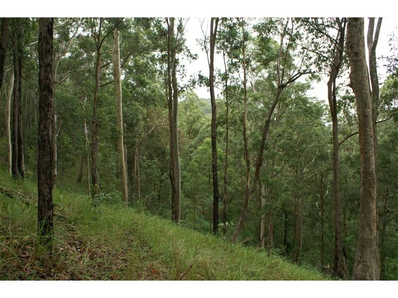 Wards River NSW 2422