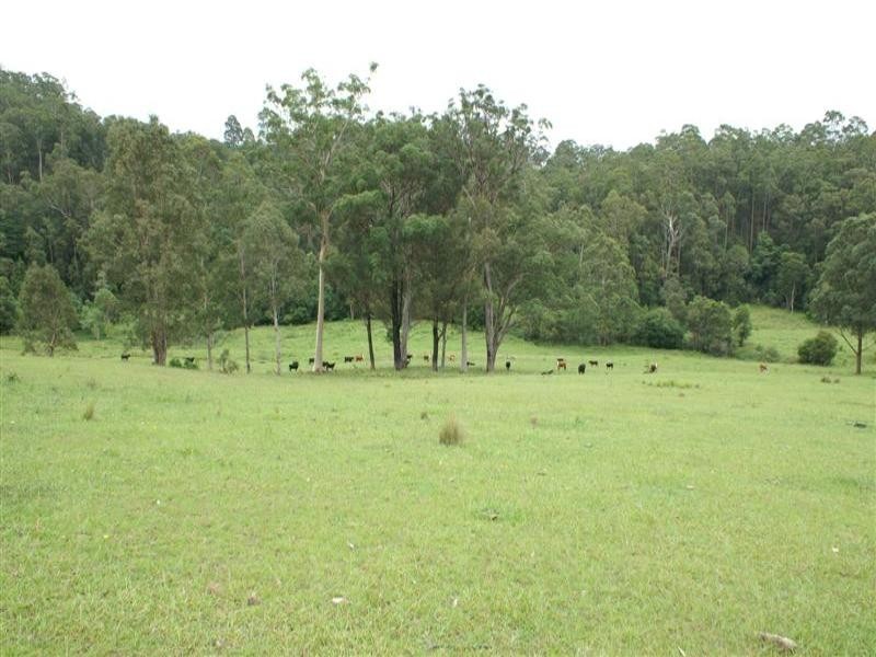 Wards River NSW 2422