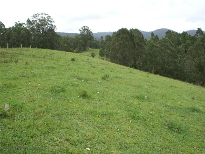 Wards River NSW 2422