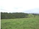 Wards River NSW 2422