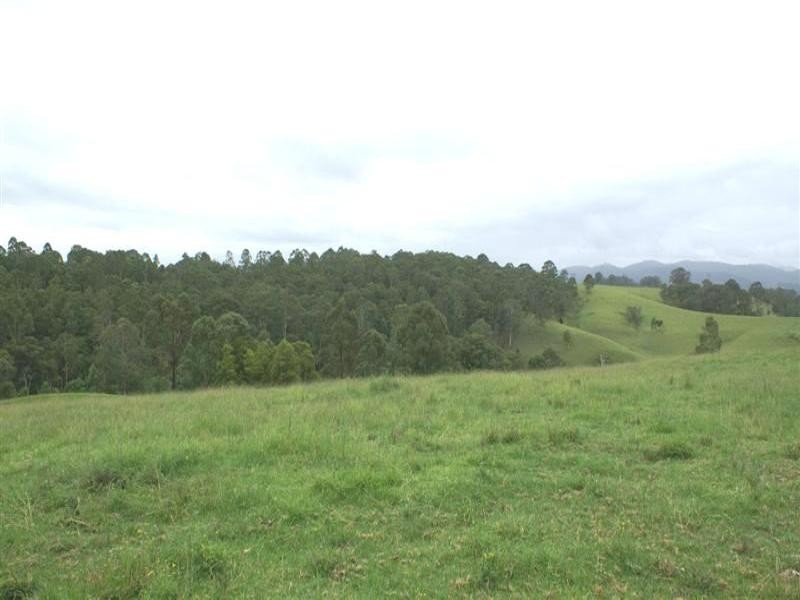 Wards River NSW 2422