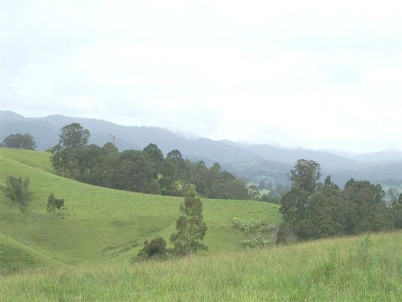 Wards River NSW 2422