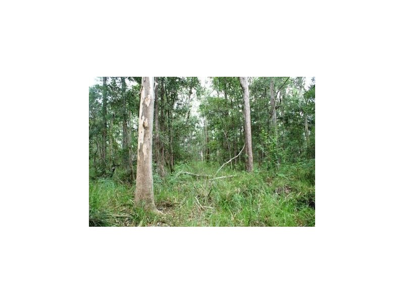 Booral NSW 2425