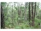 Booral NSW 2425