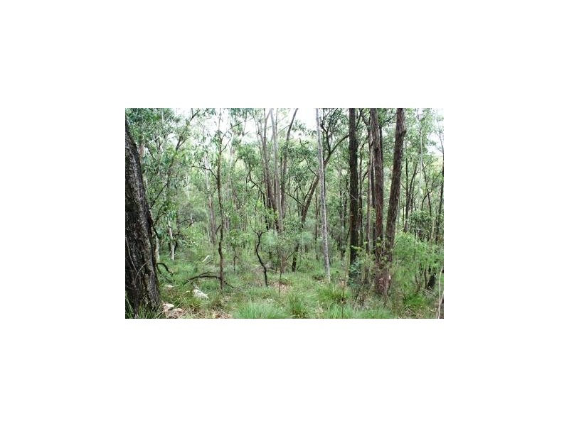 Booral NSW 2425