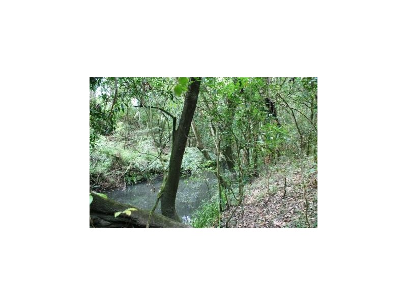 Booral NSW 2425