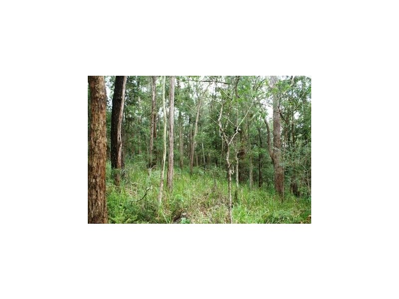 Booral NSW 2425