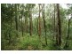 Booral NSW 2425