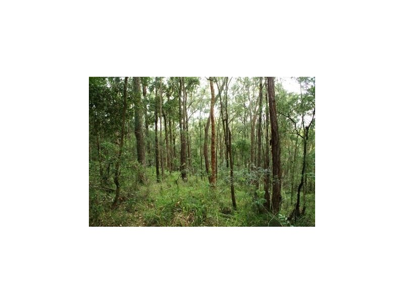 Booral NSW 2425