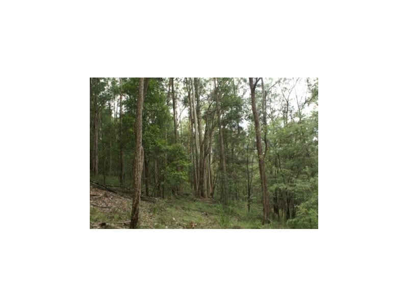 Booral NSW 2425