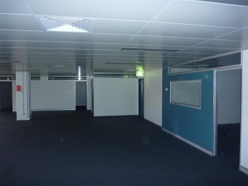 45 Pearson Street, Charlestown NSW 2290