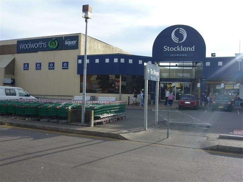 22 Bluegum Road, Jesmond NSW 2299