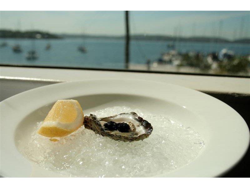 6 Arnott Avenue, Toronto NSW 2283