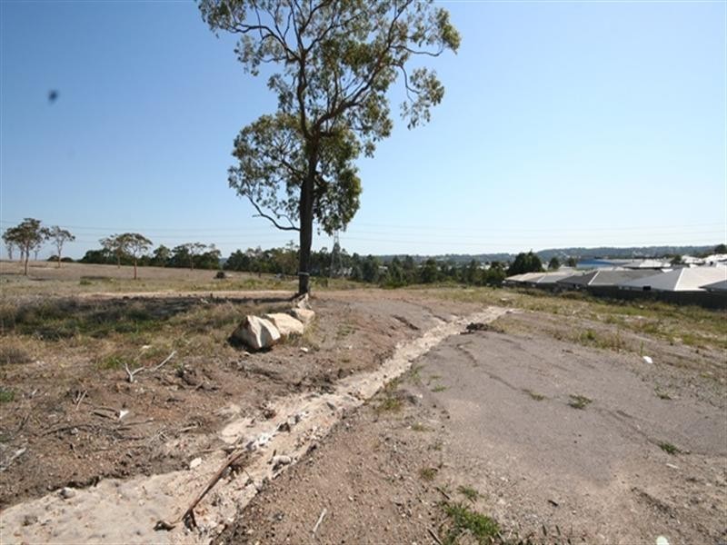 91 Delaware Drive, Macquarie Hills NSW 2285