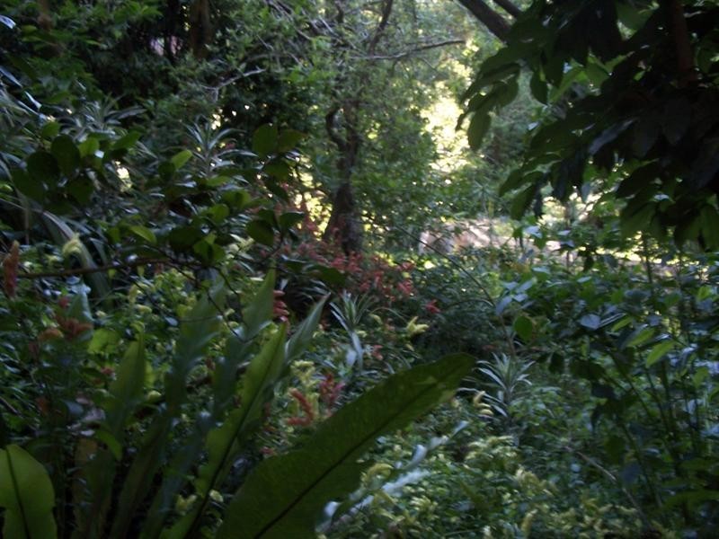 Charlestown NSW 2290