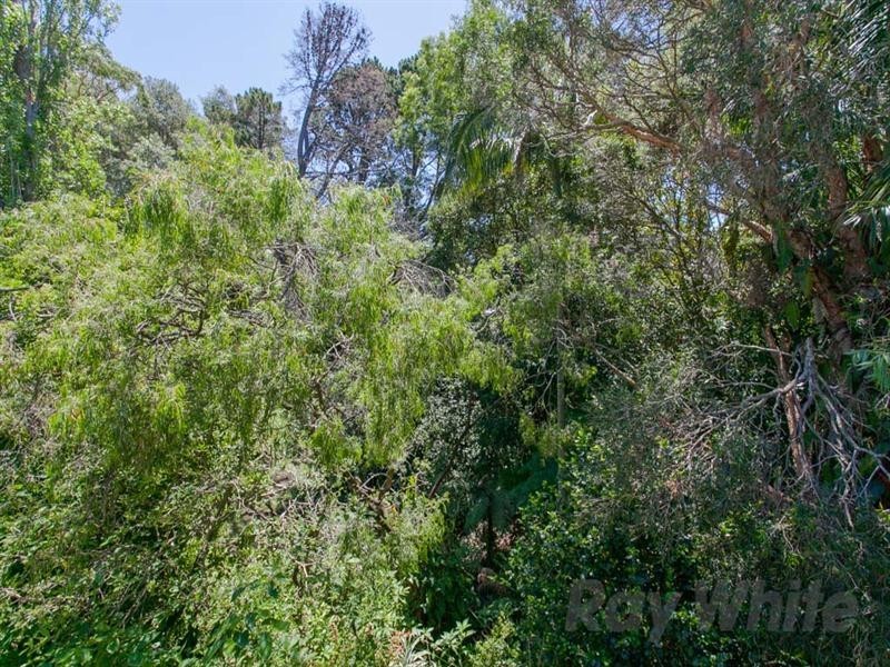 Charlestown NSW 2290