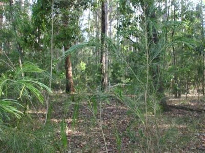 Coolongolook NSW 2423