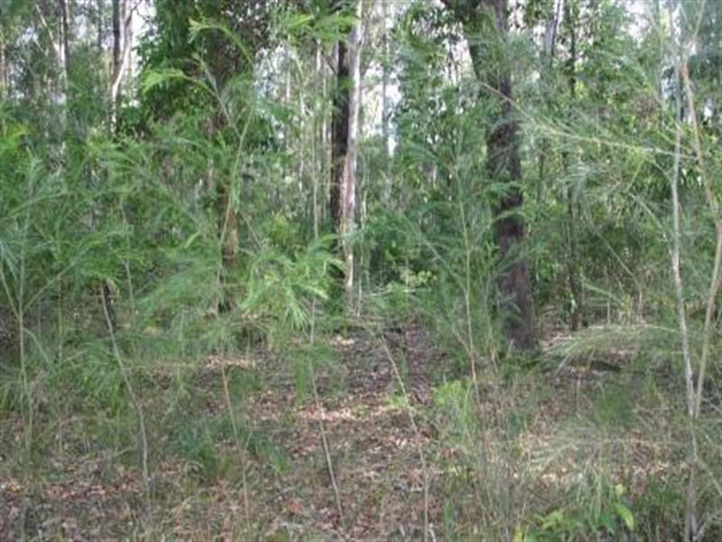 Coolongolook NSW 2423