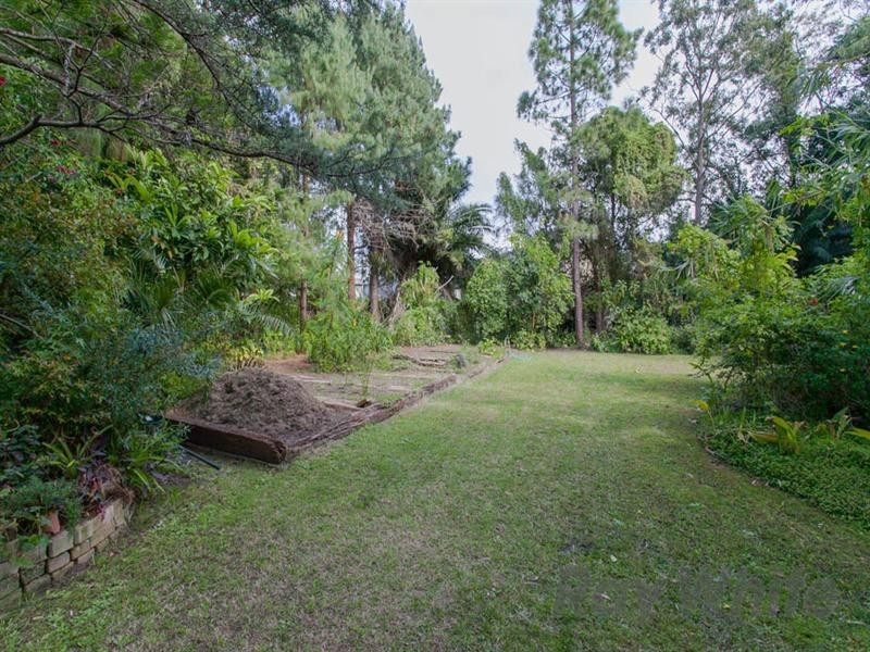 92 Bridge Street, Waratah NSW 2298