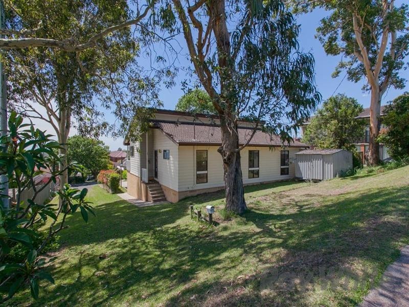 113 Edith Street, Waratah NSW 2298