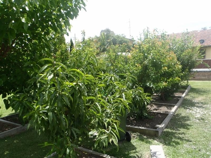 20 Jones Avenue, Warners Bay NSW 2282