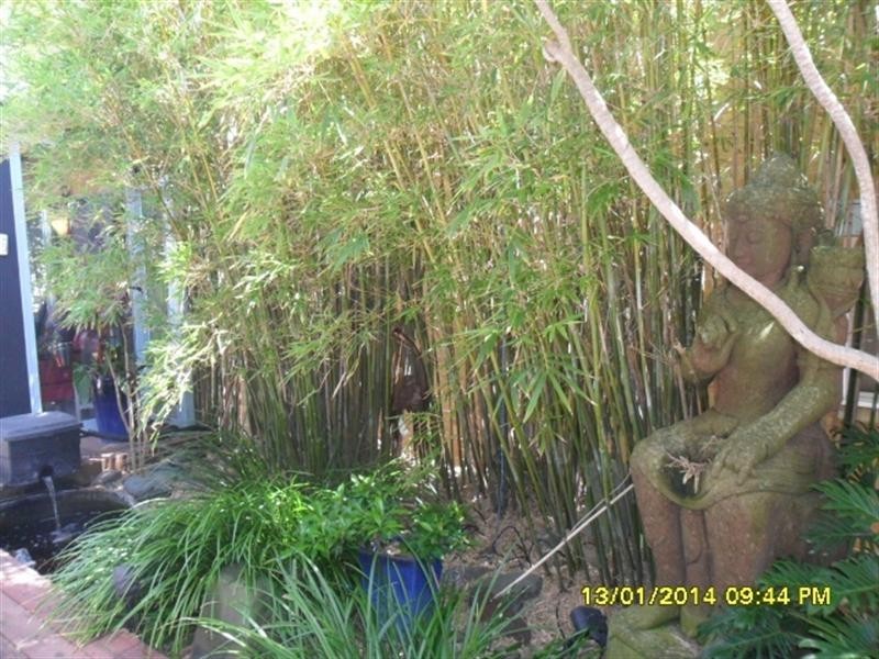 30 Nesca Parade, Newcastle NSW 2300