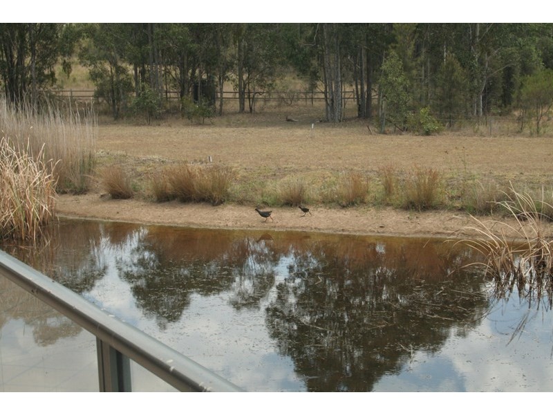 22 Spring Harvest Close, Pokolbin NSW 2320