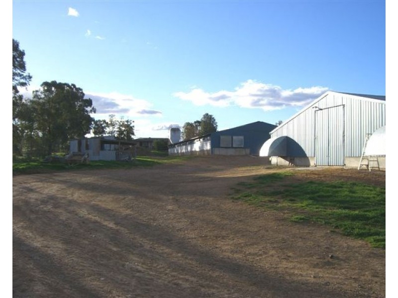 Wallamore NSW 2340