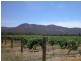 Lots 3 & 4 Broke Road, Pokolbin NSW 2320
